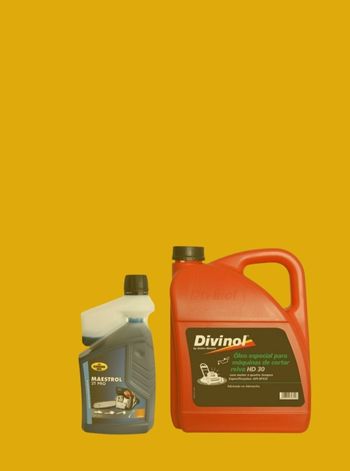 ÓLEOS/LUBRIFICANTES